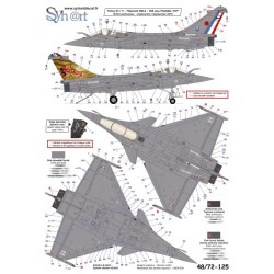 Syhart 125 - Rafale M "100 years Flottille 11F" 2019