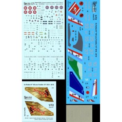 Syhart 125 - Rafale M "100 ans Flottille 11F" 2019