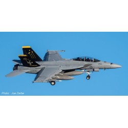 Syhart 120 - F/A-18F Super Hornet A44-210 "100 Years 1 Squadron" RAAF - 2016