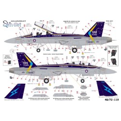 Syhart 119 - EA-18G Growler A46-306 "100 Years 6 Squadron" RAAF - 2017
