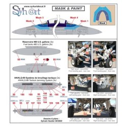 Syhart 119 - EA-18G Growler A46-306 "100 Years 6 Squadron" RAAF - 2017