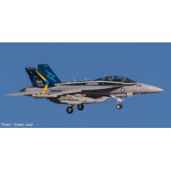 Syhart 119 - EA-18G Growler A46-306 "100 Years 6 Squadron" RAAF - 2017
