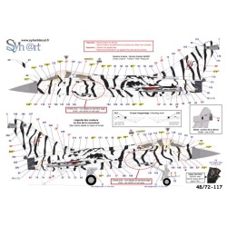 Syhart 117 - Rafale M "Tigermeet 2017" Flottille 11F