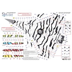 Syhart 117 - Rafale M "Tigermeet 2017" Flottille 11F