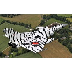 Syhart 117 - Rafale M "Tigermeet 2017" Flottille 11F