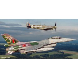 Syhart 112 - F-16AM Falcon FA-129 "75 years 350Sqn" Belgian Air Force - 2016