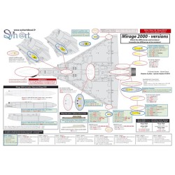 Syhart 108 - Mirage 2000-5F 188-ET "70 ans EC3/11 Corse" 2013 & Mirage 2000-5F 188-EF "100 ans SPA88" EC3/11 "Corse" 2017