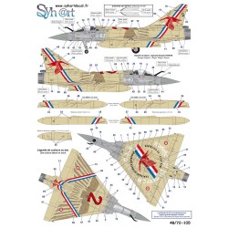 Syhart 105 - Mirage 2000-5F n°43 2-EJ "Vieux Charles" EC 1/2 Cigognes 2017