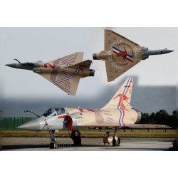 Syhart 105 - Mirage 2000-5F n°43 2-EJ "Vieux Charles" EC 1/2 Cigognes 2017