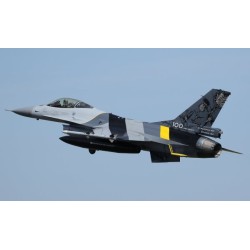 Syhart 104 - F-16AM Falcon FA-132 "100 Years 1st Sqn Stingers" Belgian Air Force 1917-2017