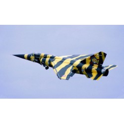 Syhart 091 - Mirage F-1C 12-YH n°16 "Tigermeet'91"