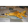 Syhart 090 - Mirage F-1C 12-YA n°50 "Tigermeet'94"