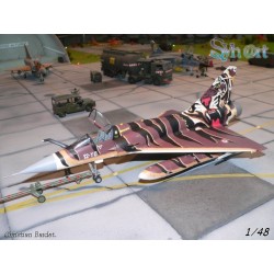 Syhart 087 - Mirage 2000C 12-YO "Tigermeet 2005"