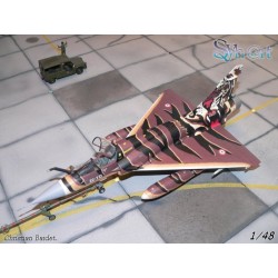 Syhart 087 - Mirage 2000C 12-YO "Tigermeet 2005"