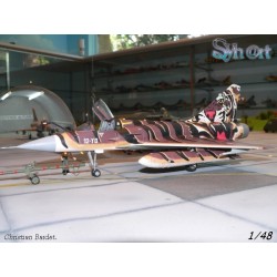 Syhart 087 - Mirage 2000C 12-YO "Tigermeet 2005"