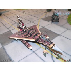 Syhart 087 - Mirage 2000C 12-YO "Tigermeet 2005"