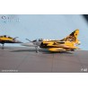 Syhart 063 - Mirage 2000C 103-LI "Tigermeet 2010" EC 1/12 Cambresis