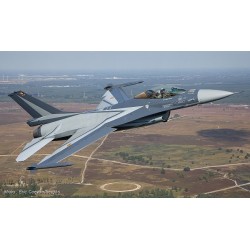 Syhart 082 - F-16AM Falcon FA-134 "Solo Display 2009" Force Aérienne Belge