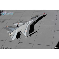 Syhart 082 - F-16AM Falcon FA-134 "Solo Display 2009" Belgian Air Force