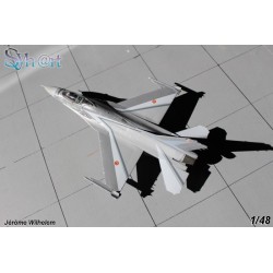 Syhart 082 - F-16AM Falcon FA-134 "Solo Display 2009" Belgian Air Force