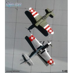 Syhart 080 - F/A-18C Hornet J-5014 "AIR14" Payerne