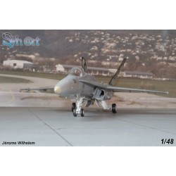 Syhart 069 - F/A-18C Hornet J-5011 "Tigermeet 2011" Staffel 11 - Swiss Air Force