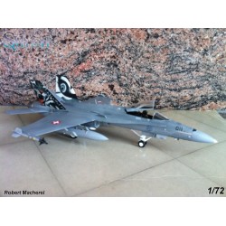 Syhart 069 - F/A-18C Hornet J-5011 "Tigermeet 2011" Staffel 11 - Swiss Air Force