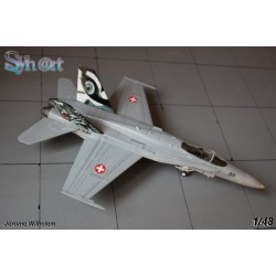 Syhart 069 - F/A-18C Hornet J-5011 "Tigermeet 2011" Staffel 11 - Swiss Air Force