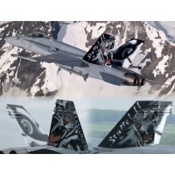 Syhart 069 - F/A-18C Hornet J-5011 "Tigermeet 2011" Staffel 11 - Forces Aériennes Suisses