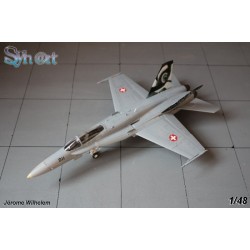 Syhart 069 - F/A-18C Hornet J-5011 "Tigermeet 2011" Staffel 11 - Forces Aériennes Suisses