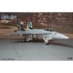 Syhart 069 - F/A-18C Hornet J-5011 "Tigermeet 2011" Staffel 11 - Forces Aériennes Suisses