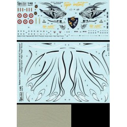 Syhart 075 - Rafale C 113-HJ "Tigermeet 2013" EC 1/7 "Provence"