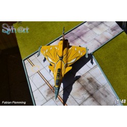 Syhart 075 - Rafale C 113-HJ "Tigermeet 2013" EC 1/7 "Provence"