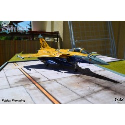 Syhart 075 - Rafale C 113-HJ "Tigermeet 2013" EC 1/7 "Provence"