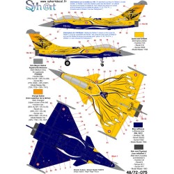 Syhart 075 - Rafale C 113-HJ "Tigermeet 2013" EC 1/7 "Provence"