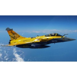 Syhart 075 - Rafale C 113-HJ "Tigermeet 2013" EC 1/7 "Provence"