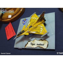 Syhart 075 - Rafale C 113-HJ "Tigermeet 2013" EC 1/7 "Provence"