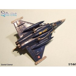 Syhart 075 - Rafale C 113-HJ "Tigermeet 2013" EC 1/7 "Provence"