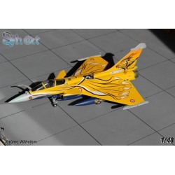 Syhart 075 - Rafale C 113-HJ "Tigermeet 2013" EC 1/7 "Provence"