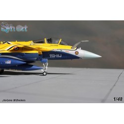 Syhart 075 - Rafale C 113-HJ "Tigermeet 2013" EC 1/7 "Provence"