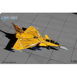 Syhart 075 - Rafale C 113-HJ "Tigermeet 2013" EC 1/7 "Provence"