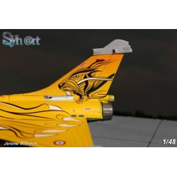 Syhart 075 - Rafale C 113-HJ "Tigermeet 2013" EC 1/7 "Provence"