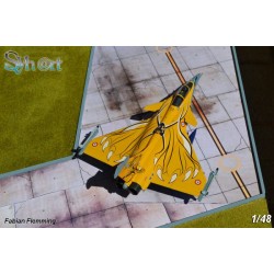 Syhart 075 - Rafale C 113-HJ "Tigermeet 2013" EC 1/7 "Provence"