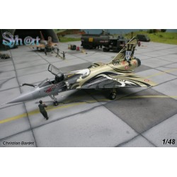 Syhart 073 - "Last Flight" BA103 Cambrai-Epinoy 2012 (Part 2)