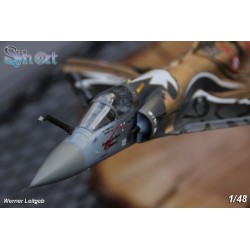 Syhart 073 - "Last Flight" BA103 Cambrai-Epinoy 2012 (Part 2)