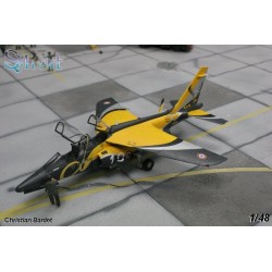 Syhart 066 - Alpha Jet E25 "1000000 Flight hours" 2008 AJeTS - French Air Force