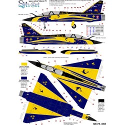 Syhart 065 - Mirage 2000N n°314 "Retirement EC1/4 Dauphiné" 2010