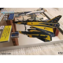 Syhart 065 - Mirage 2000N n°314 "Retirement EC1/4 Dauphiné" 2010