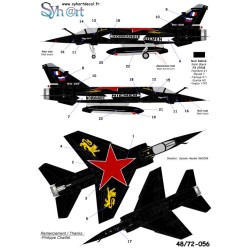 Syhart 056 - Mirage F-1CT n°260 "Retirement EC 2/30 Normandie-Niemen" 2009