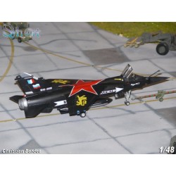 Syhart 056 - Mirage F-1CT n°260 "Retirement EC 2/30 Normandie-Niemen" 2009